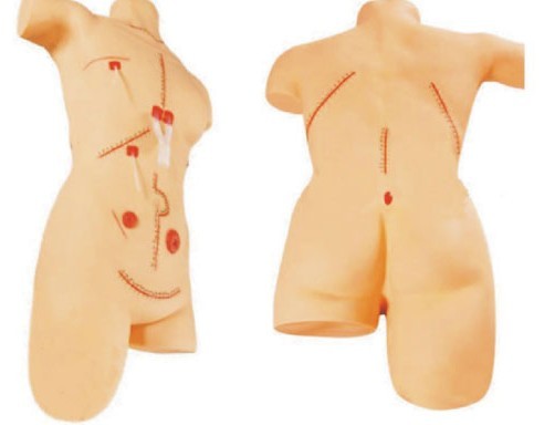 外科縫合包扎展示模型