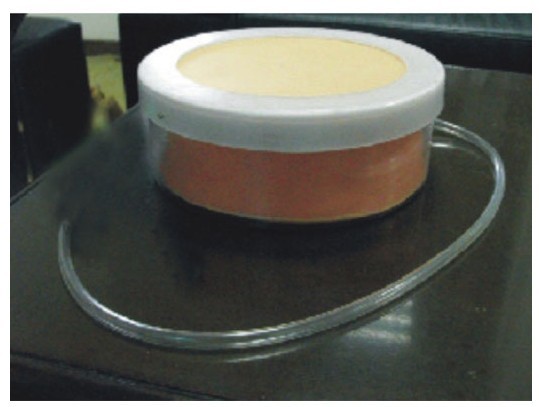 剖腹手術(shù)切開縫合模型