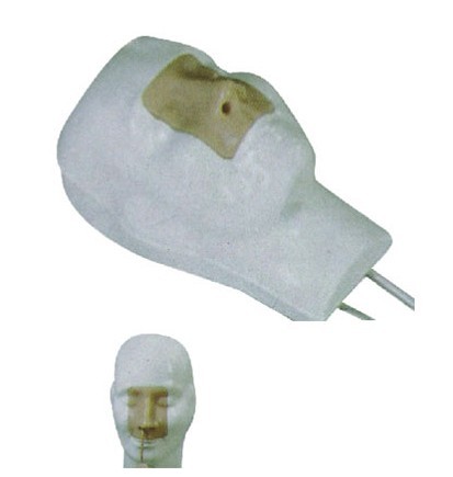 高級(jí)鼻腔出血模型