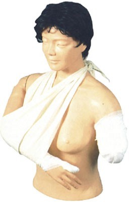 高級(jí)高位包扎模型