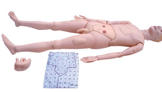 高級(jí)組合式基礎(chǔ)護(hù)理人訓(xùn)練模型