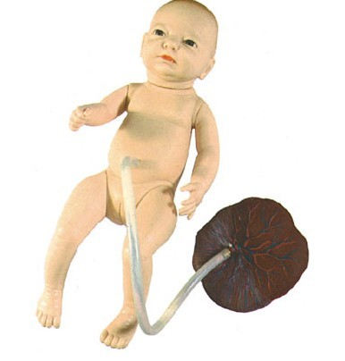 高級(jí)新生兒臍帶護(hù)理模型