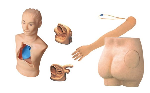 新型基礎(chǔ)護(hù)理實(shí)習(xí)操作模型（五部件）