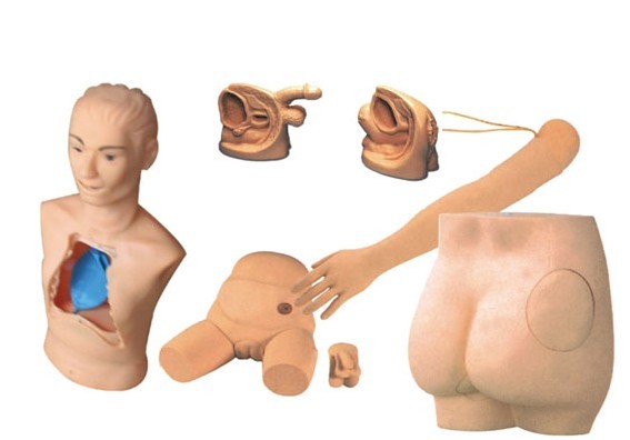 高級(jí)新型基礎(chǔ)護(hù)理實(shí)習(xí)操作模型（七部件）