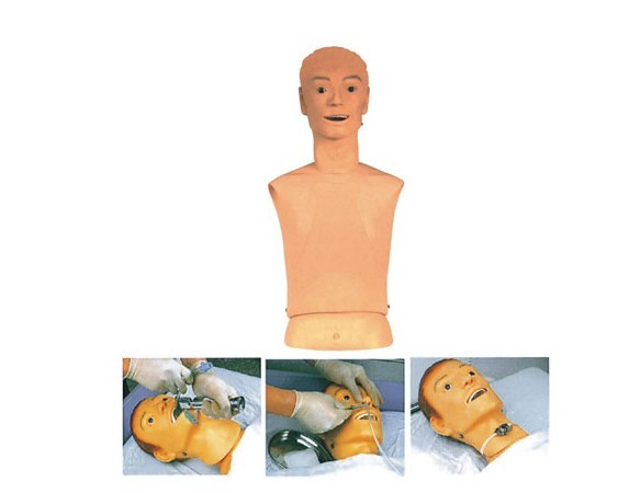 高級(jí)鼻胃管與氣管護(hù)理模型