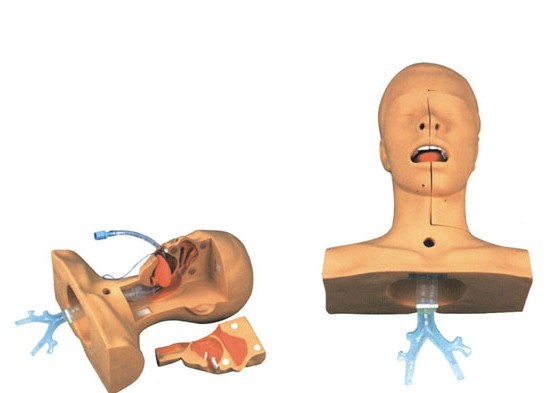 高級(jí)吸痰練習(xí)模型
