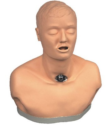 高級(jí)成人氣管切開(kāi)護(hù)理模型