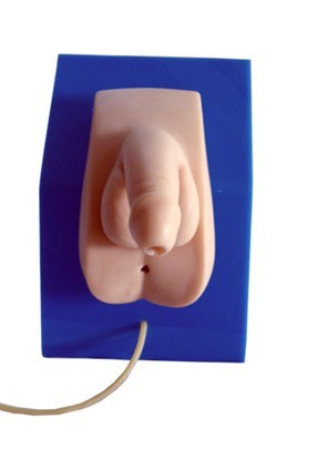 高級(jí)著裝式男性導(dǎo)尿模型