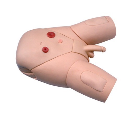 高級(jí)整體男性導(dǎo)尿模型
