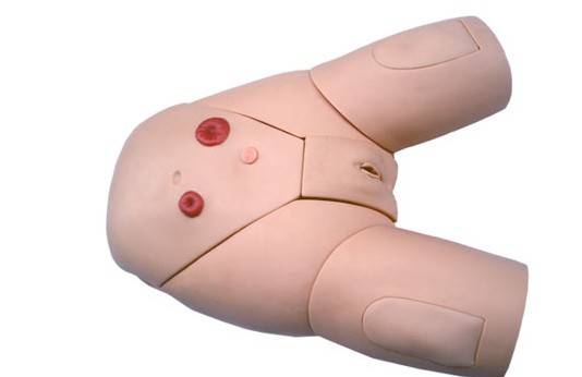 高級(jí)整體女性導(dǎo)尿模型