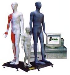 針灸教學(xué)模型|鍵控按摩點穴電子人體模型