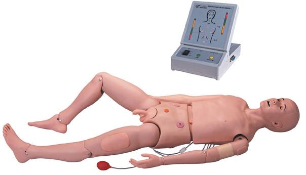 高級成人護(hù)理及CPR模型人