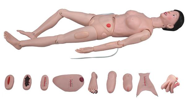 高級全功能護(hù)理人訓(xùn)練模型（女性）