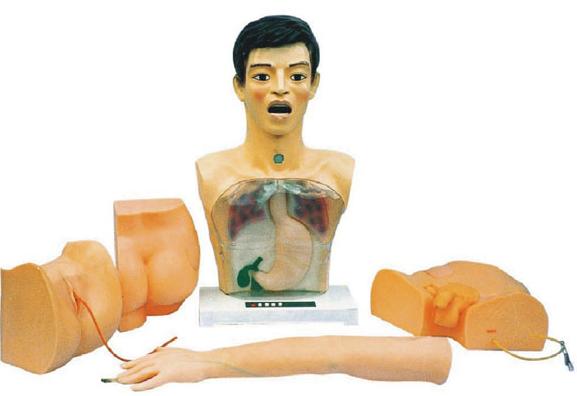 新型基礎(chǔ)護(hù)理模型