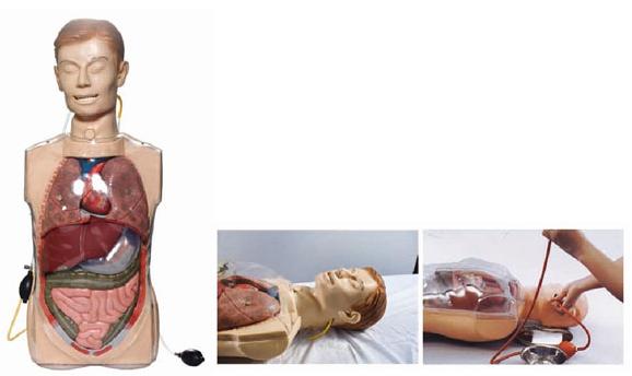 多功能透明洗胃訓(xùn)練模型