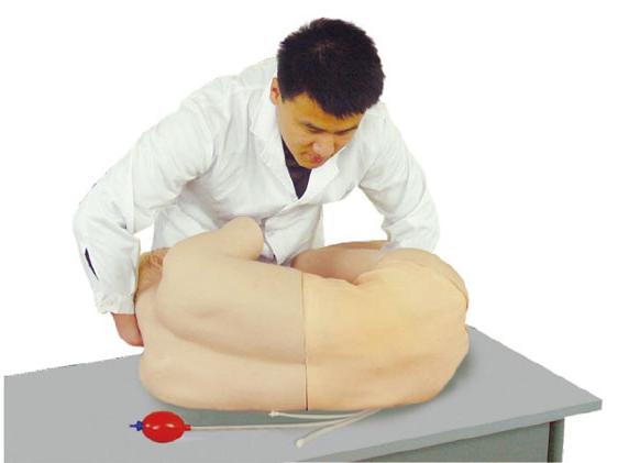 腰椎穿刺訓練模型
