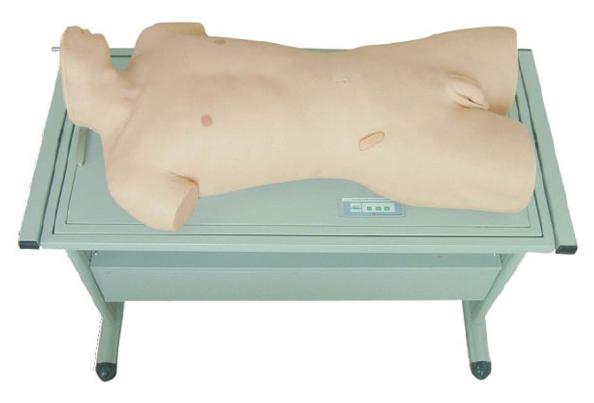 肝膿腫穿刺與胸腔穿刺訓練模型