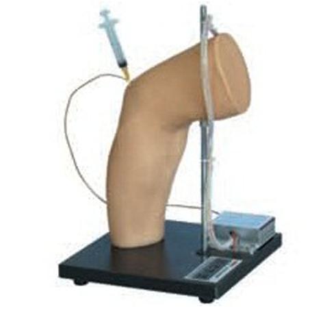 肘關節(jié)腔內注射模型