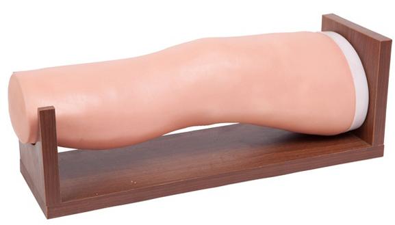 膝關節(jié)腔內注射模型