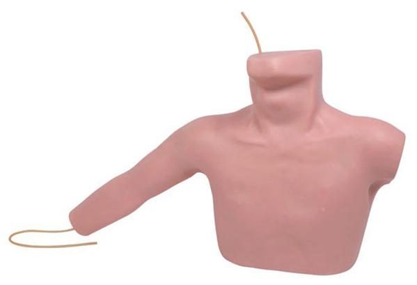 外周穿刺、中心靜脈穿刺插管模型