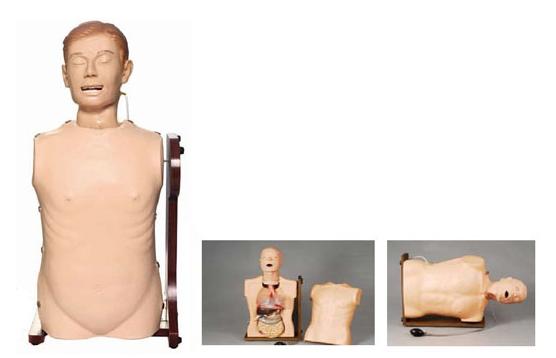 高級鼻胃管與氣管護(hù)理模型