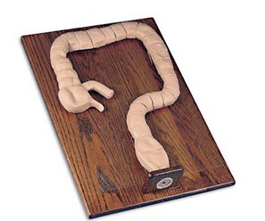 乙狀結(jié)腸鏡檢查模型