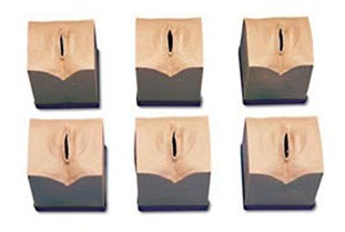 產(chǎn)前宮頸變化模型