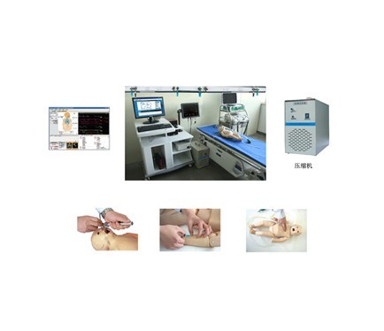 高智能數(shù)字化新生兒綜合急救技能訓(xùn)練系統(tǒng)（ACLS高級(jí)生命支持、計(jì)算機(jī)控制）