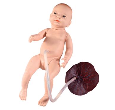 高級(jí)新生兒臍帶護(hù)理模型