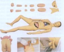 高級(jí)組合式基礎(chǔ)護(hù)理訓(xùn)練模型