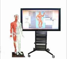 多媒體人體模型數(shù)字互交平臺(tái)解決方案