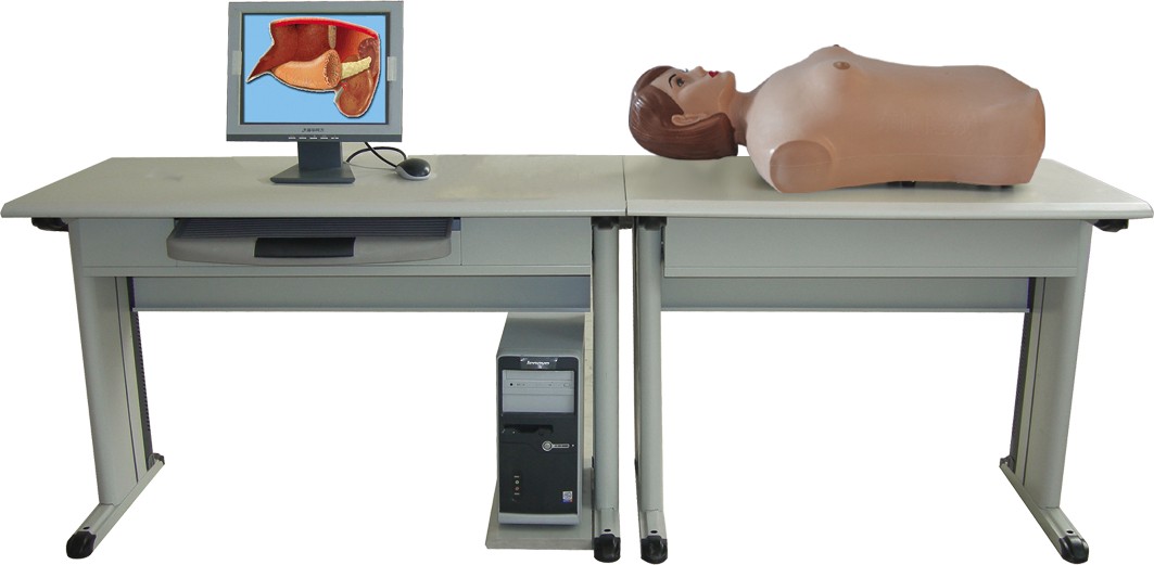 多媒體網(wǎng)絡腹部檢查教學系統(tǒng)