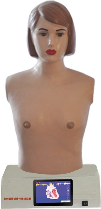心肺觸診聽診電腦模擬器