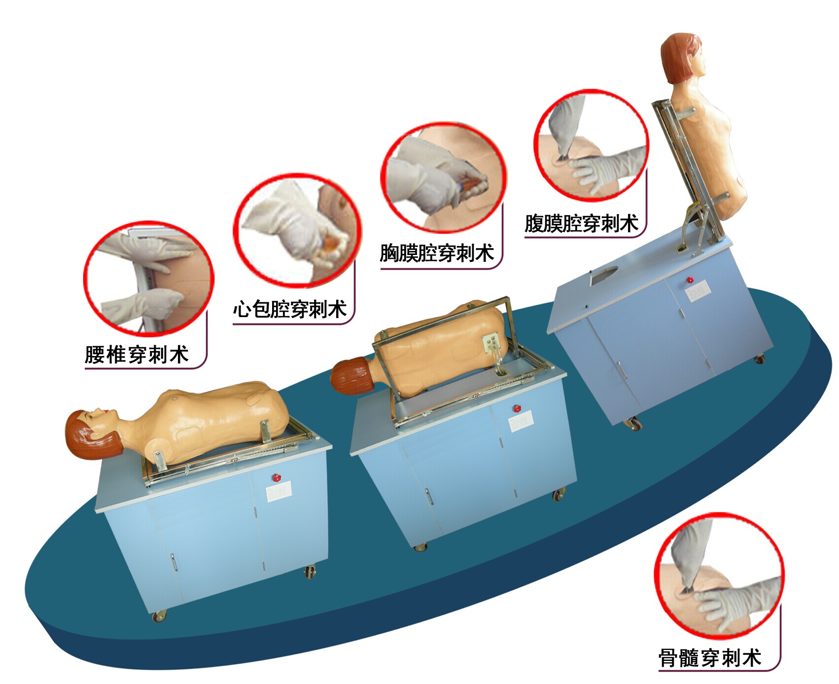 多種穿刺叩診全自動(dòng)電腦模擬人