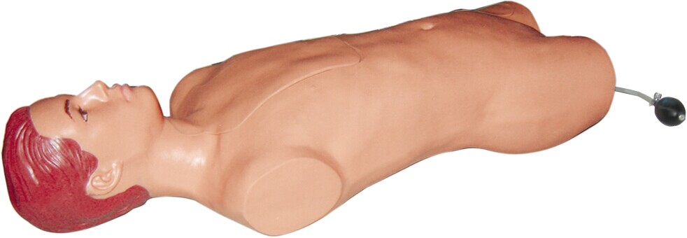股動(dòng)脈穿刺模擬人