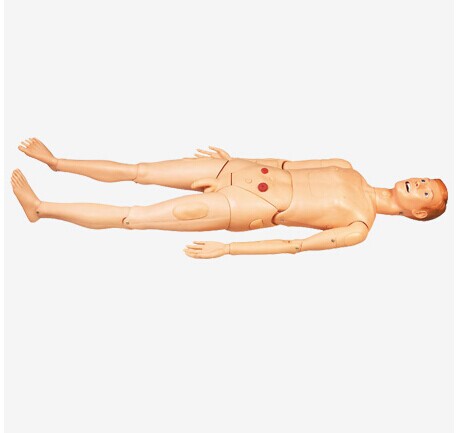 高級全功能護(hù)理訓(xùn)練模擬人(男性)