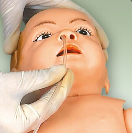 高級嬰兒護(hù)理模型