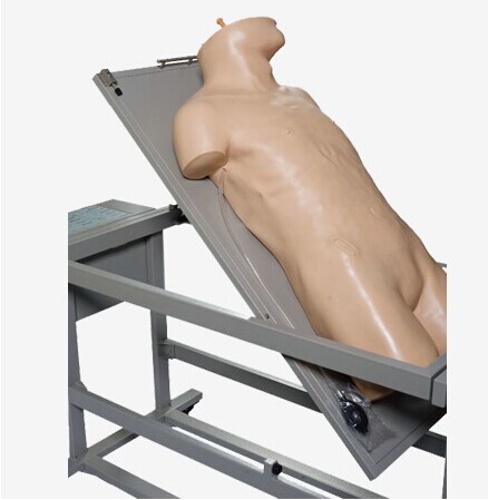 高級綜合穿刺術(shù)與叩診檢查技能訓練模擬人