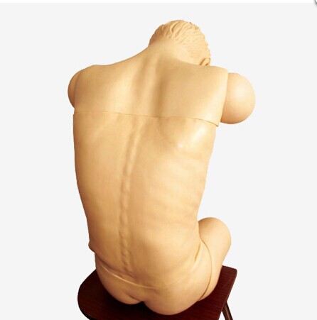 高級綜合穿刺術(shù)技能訓練模擬人（前傾坐位）