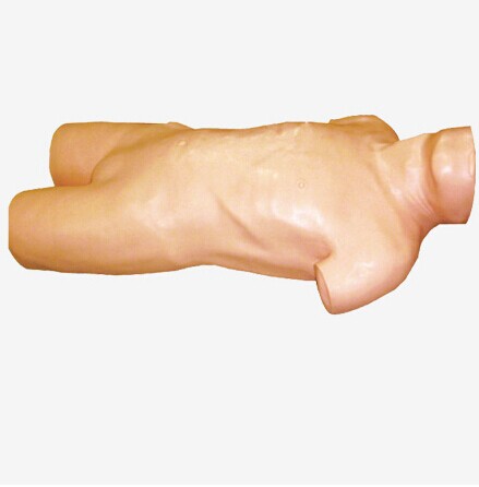 高級腹腔穿刺訓練模型