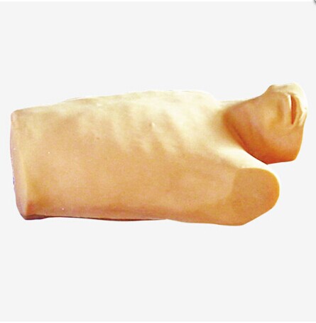 高級(jí)心包穿刺與心內(nèi)注射訓(xùn)練模型