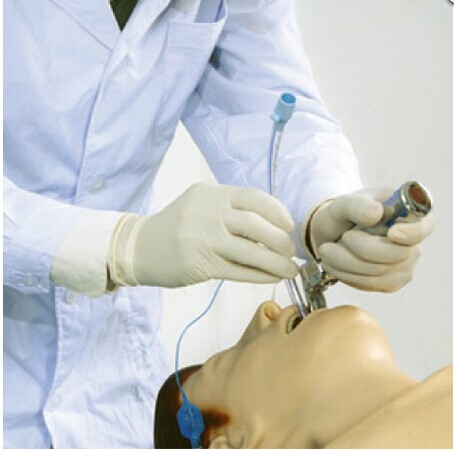 高智能數(shù)字化成人綜合急救技能訓練系統(tǒng)