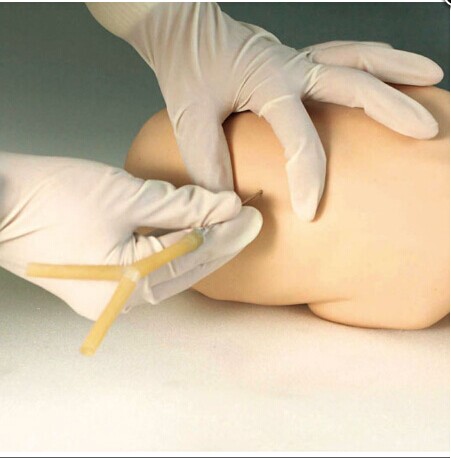 高級嬰兒腰椎穿刺模型