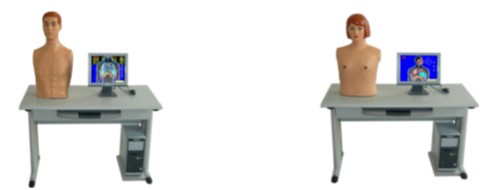 多媒體網(wǎng)絡胸部檢查教學系統(tǒng)