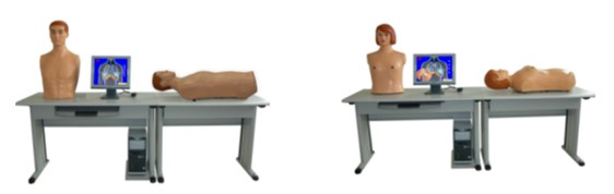 多媒體網(wǎng)絡胸腹部檢查綜合教學系統(tǒng)