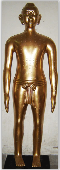 仿古針灸銅人（玻璃鋼材質(zhì)）